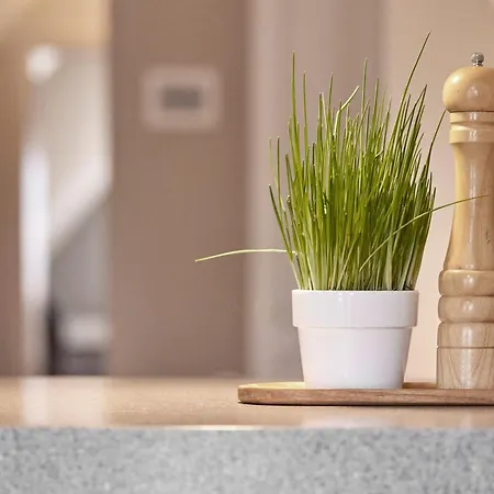 Lägenhet Haus Friedrichsen 11